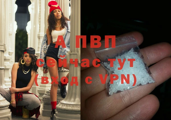 сатива Лихославль