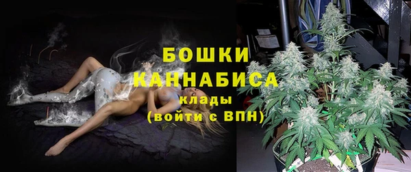 сатива Лихославль
