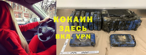 винт Липки