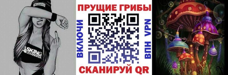 Купить закладки  Купино  Галлюциногенные грибы мухоморы 