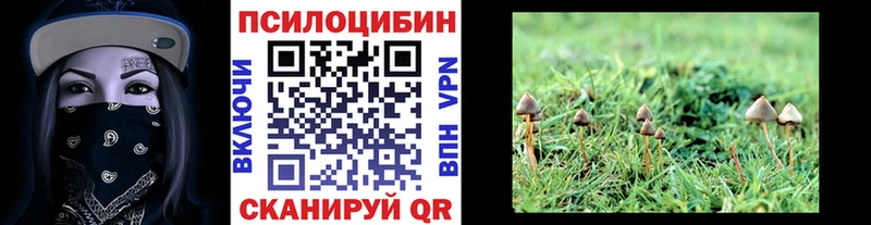 Галлюциногенные грибы мухоморы Купино