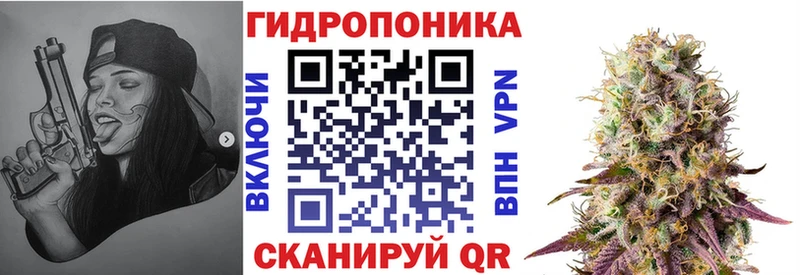 Купить  Купино  Каннабис MAZAR 